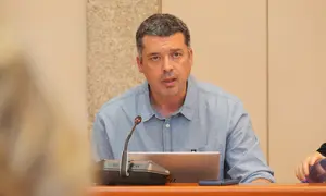 M&oacute;n Fern&aacute;bdez