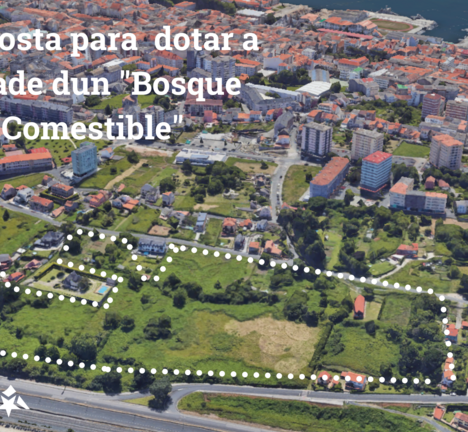 Proposta para dotar a cidade dun Bosque Comestible