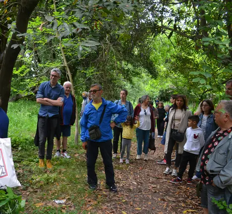 Visita guiada ao parque do Mont&oacute;n