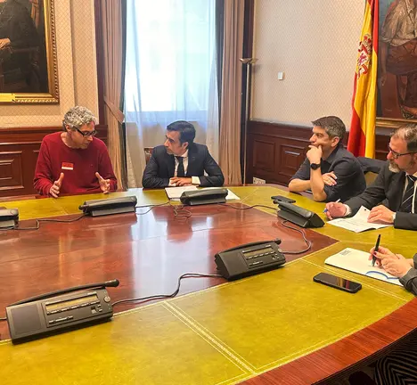 Reuni&oacute;n co grupo do BNG no Congreso